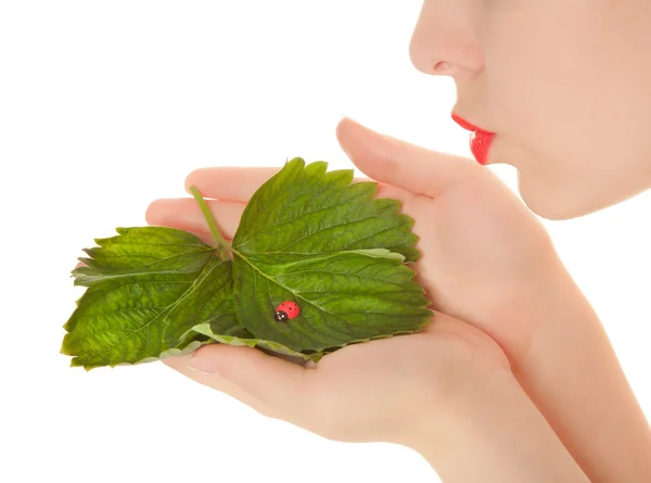 Женские руки с листьями и игрушечной птичкой — стоковое фото