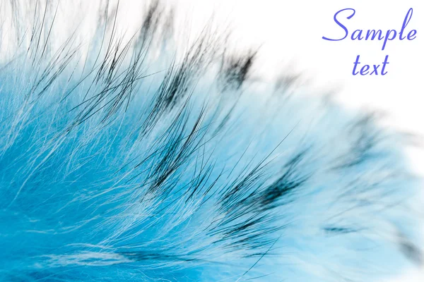 Pelliccia soffice blu — Foto Stock