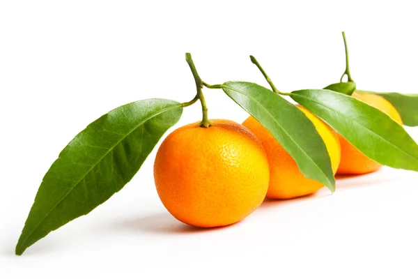 Ripe tangerines with leaves — Stock Photo, Image