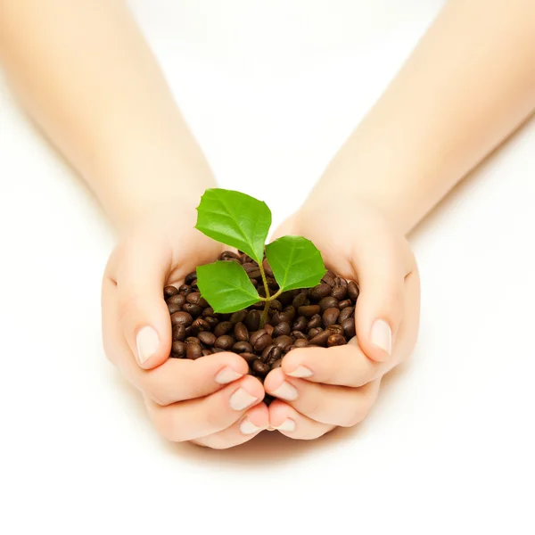 stock image Flavored coffee beans