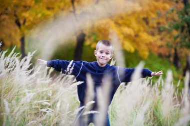 Boy on the meadow clipart