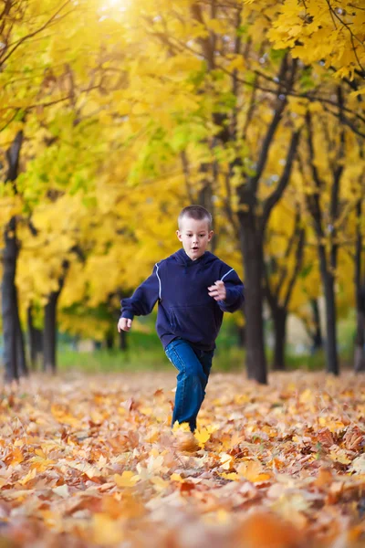 Boy in the rad leaves — Stock Photo, Image