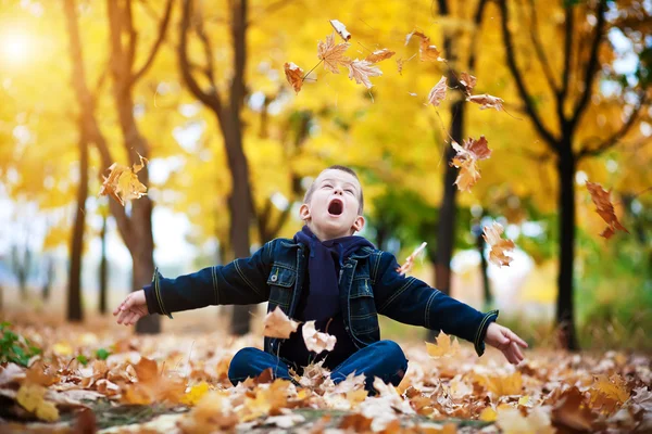 Мальчик в жёлтых листьях — стоковое фото