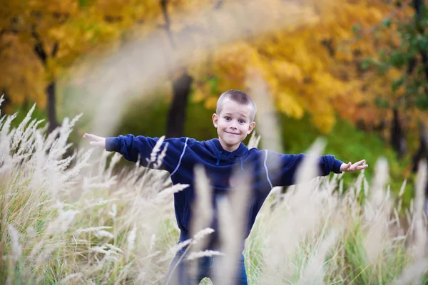 Boy on the meadow — Stock Photo, Image