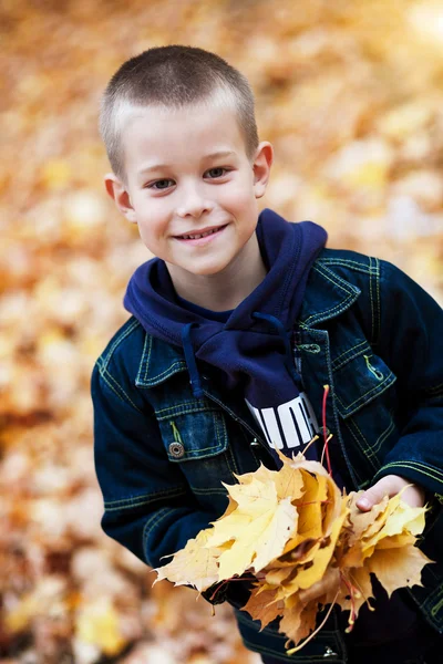 Junge in den Blättern — Stockfoto