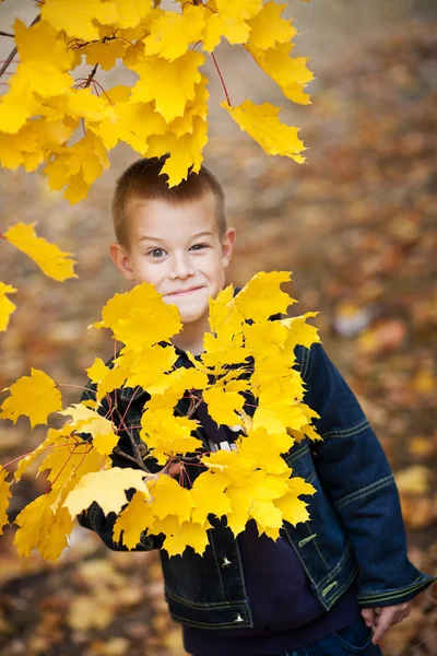 Junge in den Blättern — Stockfoto