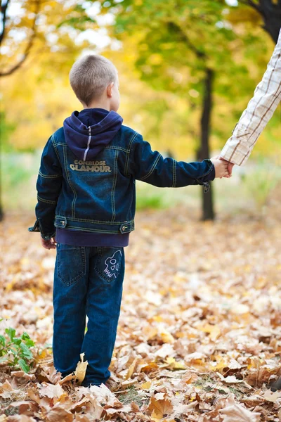 Boy in the yellow leaves — Stock Photo, Image