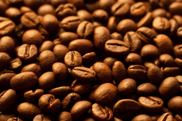 Coffee beans closeup background — Stock Photo, Image