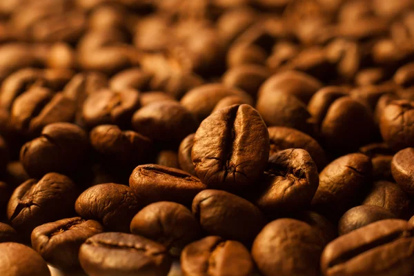 Granos de café primer plano fondo —  Fotos de Stock