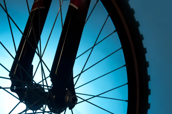 Bicycle tire and spoke wheel — Stock Photo, Image