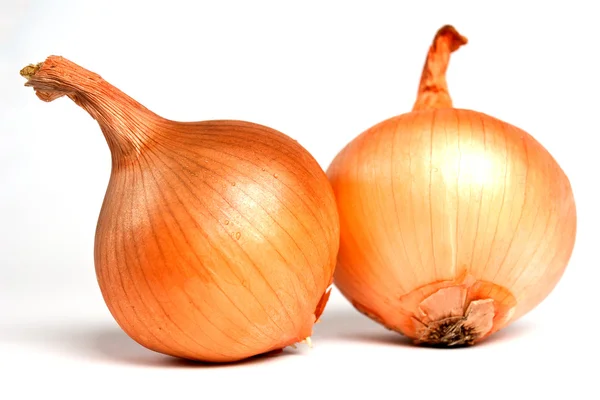 Stock image Fresh bulbs of onion