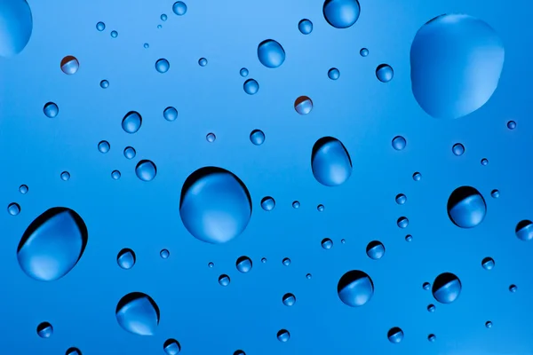 Many water drops on background — Stock Photo, Image
