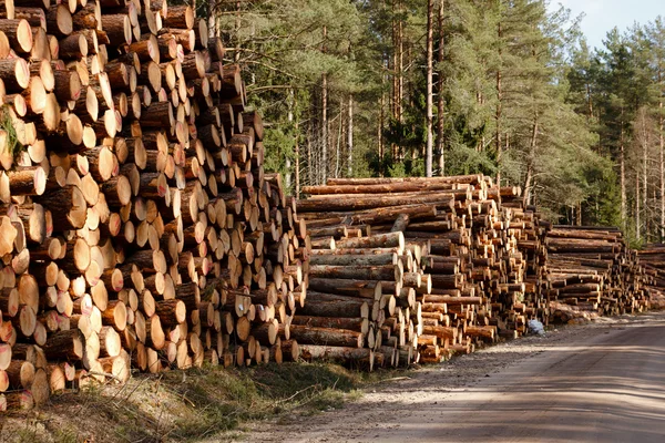 Pila de troncos —  Fotos de Stock