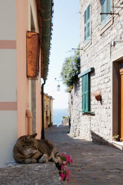 Portovenere