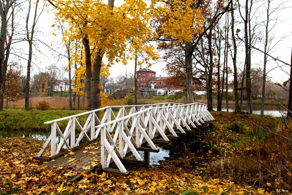 Деревянный пешеходный мост — стоковое фото