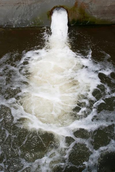 Su kirliliği — Stok fotoğraf