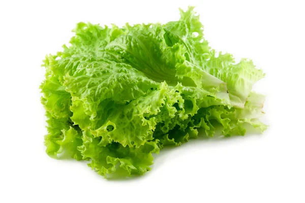 Stock image Green salad leaf