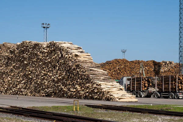 Una pila de troncos en el puerto listos para cargar barcos — Foto de Stock