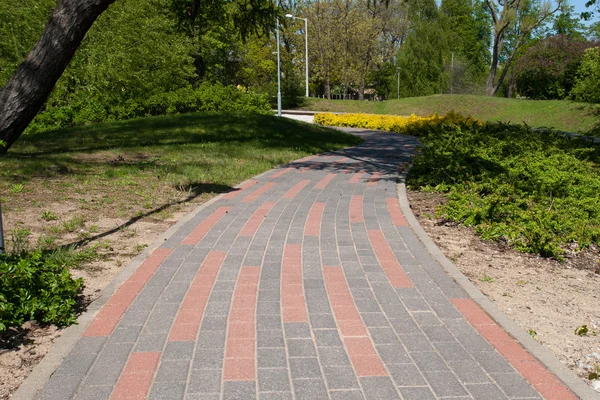 Тротуарна плитка в міському парку — стокове фото
