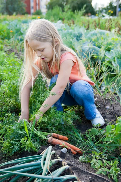 Uma jovem trabalhando no jardim — Fotografia de Stock