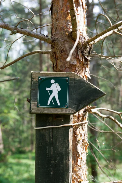Assine em uma trilha florestal — Fotografia de Stock