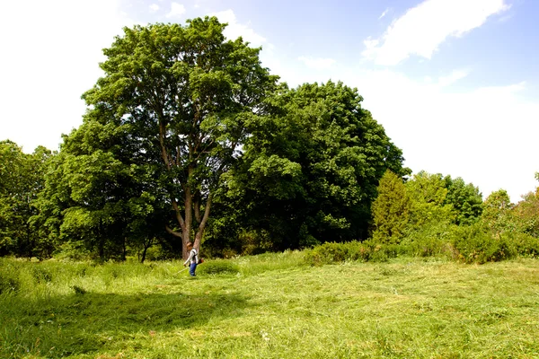 Wiejski krajobraz z Przycinarka do trawnika — Zdjęcie stockowe