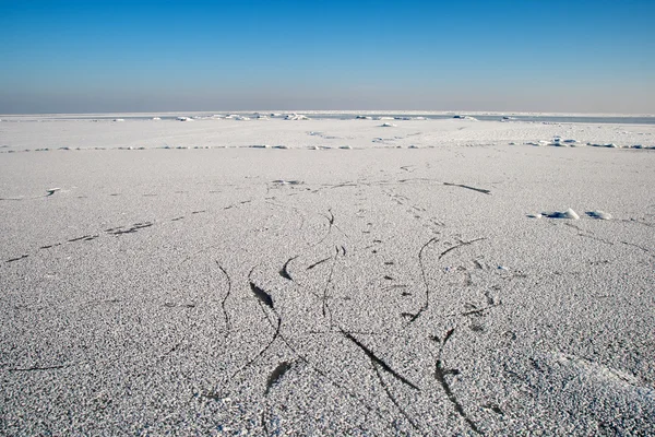 Frusna havet — Stockfoto