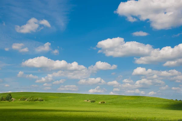 stock image Landscape