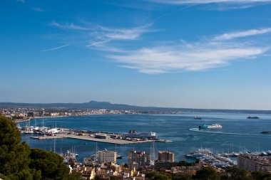 bir Palma de mallorca