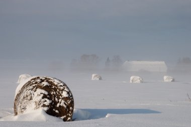 Winter landscape with fog and bale clipart
