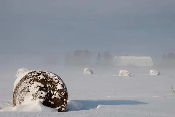 Paisagem de inverno com nevoeiro e fardo — Fotografia de Stock