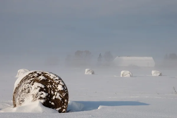 stock image Winter landscape with fog and bale