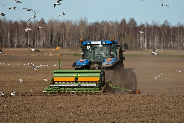 Tractor sowing seed — Stock Photo, Image