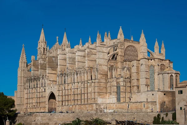 "La Seu "Cathedral of Palma . — стоковое фото