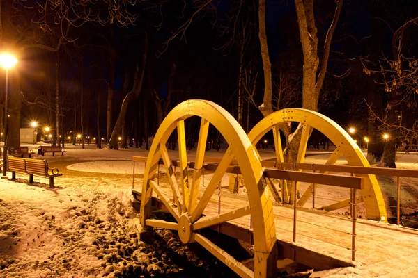 Νύχτα πάρκο — Φωτογραφία Αρχείου