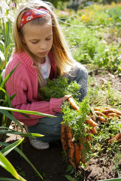 Girl in vegetable garden — Stock Photo, Image