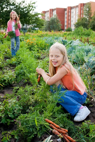 Dívky pracující v zeleninové zahradě — Stock fotografie