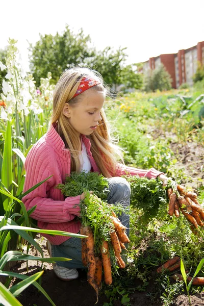 家庭菜園で働く若い女の子 — ストック写真