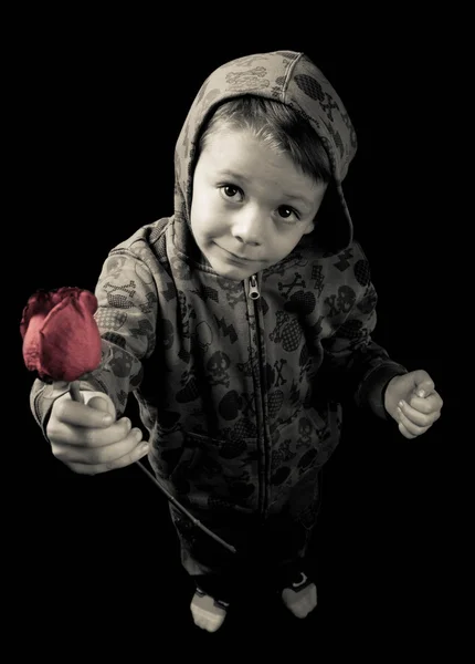 Junge mit Rose 2 — Stockfoto