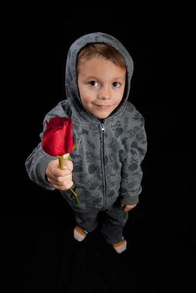 Мальчик с розой 2 — стоковое фото