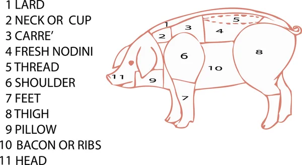 Tranches de viande — Image vectorielle