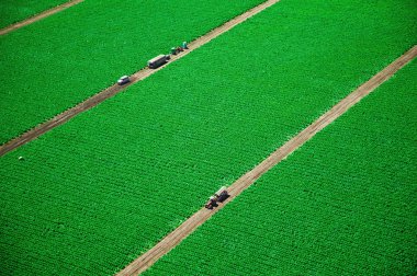 Green fields from above clipart