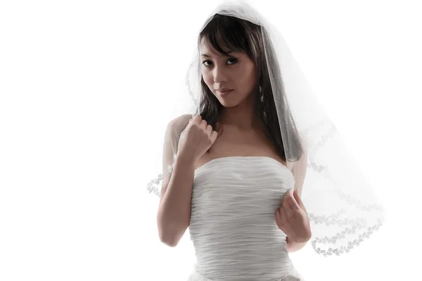 Bridal white — Stock Photo, Image