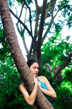 Asyalı kızı sevmek ağaç