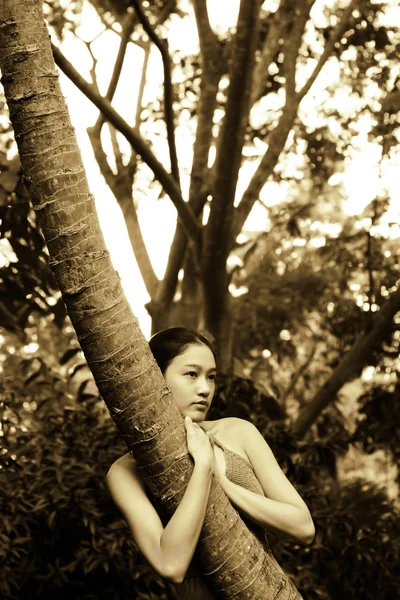 Азиатская девушка обнимает дерево — стоковое фото