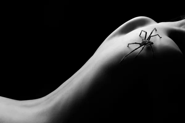 Studio anonymous nude with spider (huntsman) — Stock Photo, Image