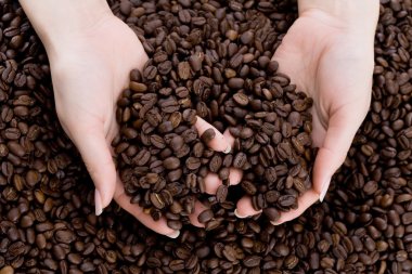 Coffee beans clipart