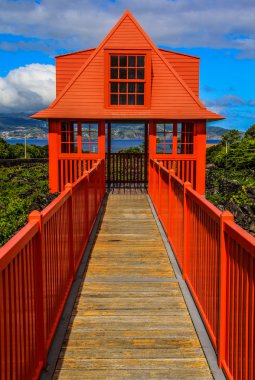 Pico island, Azor Adaları