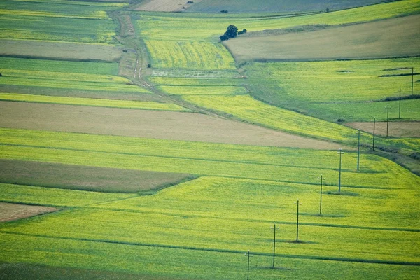Le colline fiorite di Castelluccio di Norcia — Foto Stock