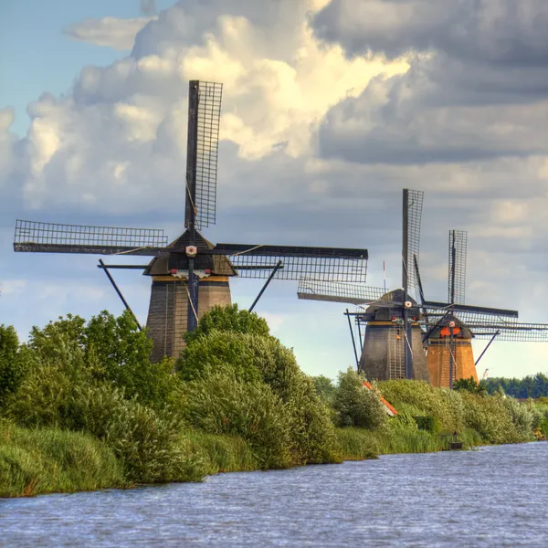 Molinos de viento en Kinderdijk, Holanda —  Fotos de Stock